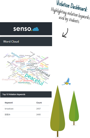 Safeguarding cloud software Senso