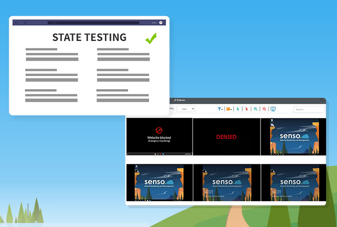 State Testing – How can Senso help?