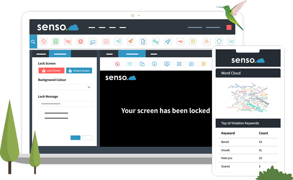 Senso Safeguarding Solution and Tools