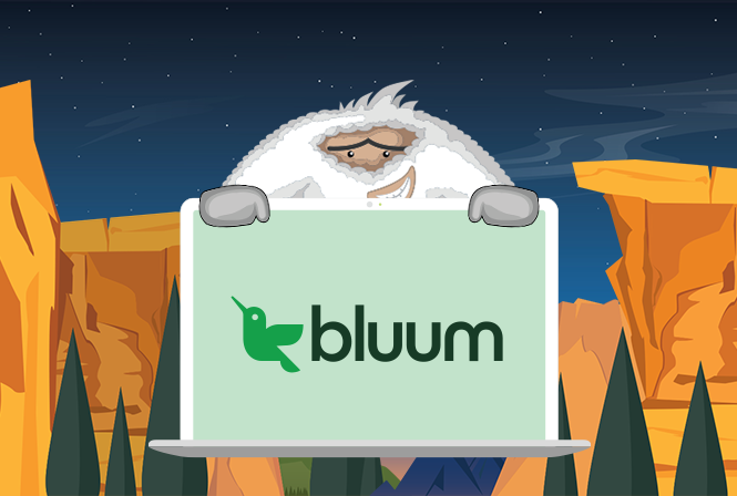 Senso and Bluum Partnership