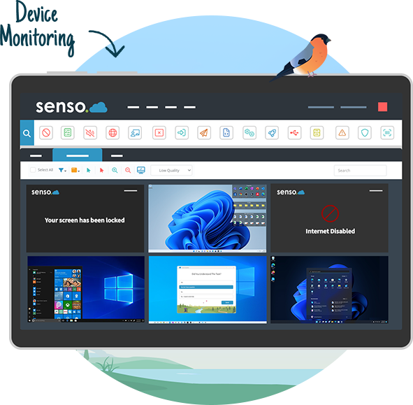 Senso.cloud's Classroom Monitoring Software on Azure Marketplace